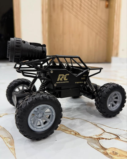Little Monster Rock Crawler RC car